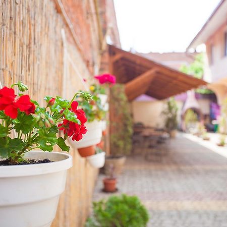 Gracia Hotel Berehowo Zewnętrze zdjęcie